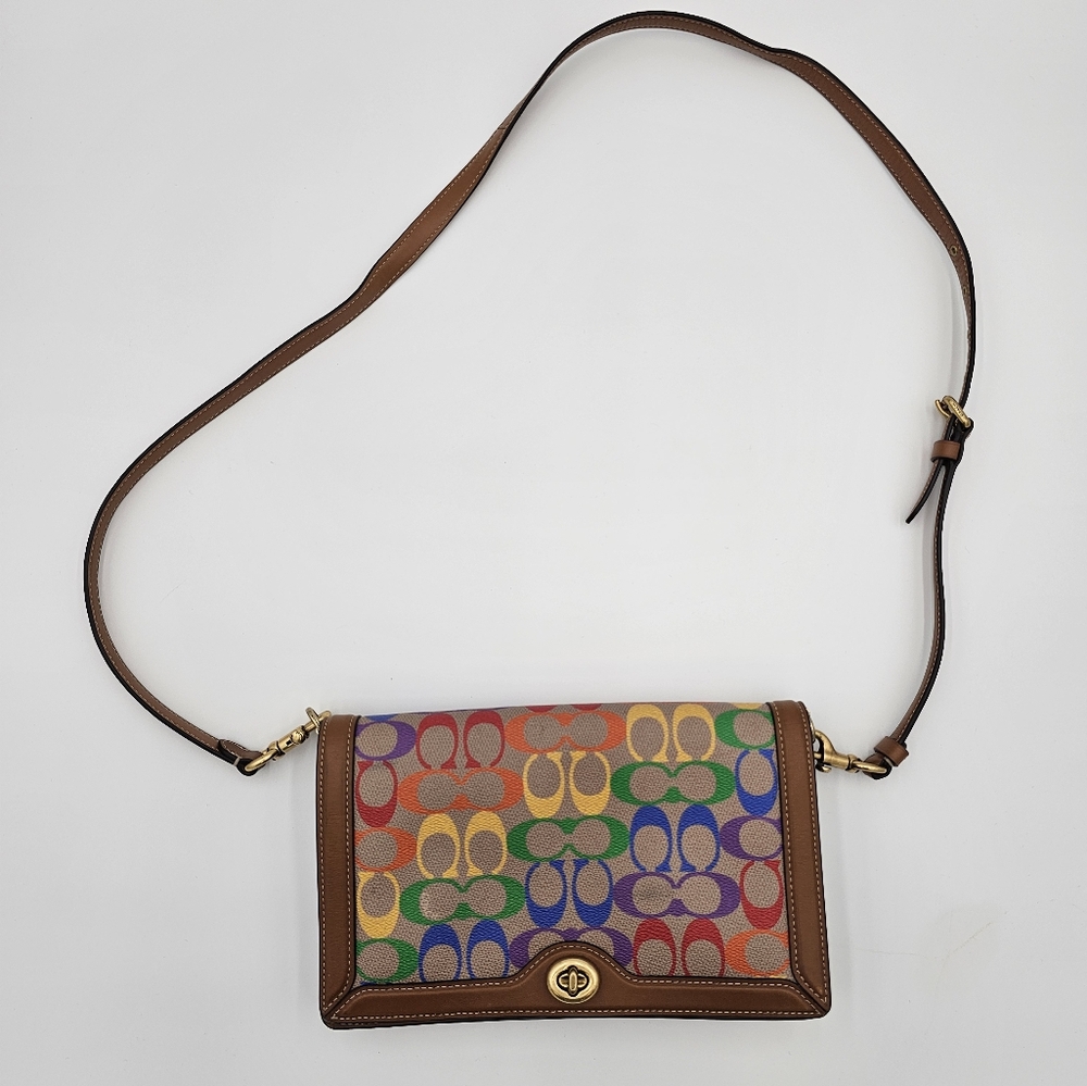 Coach riley pride edition bag